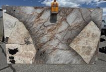 Patagonia Origional (INDIA)